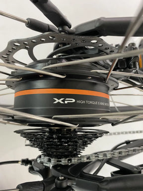 Bici elettrica classica elegance XPbike D8.2 a pedalata assistita