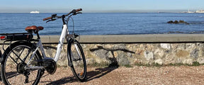Bici elettrica da città classica elegance XPbike D6.2 a pedalata assistita